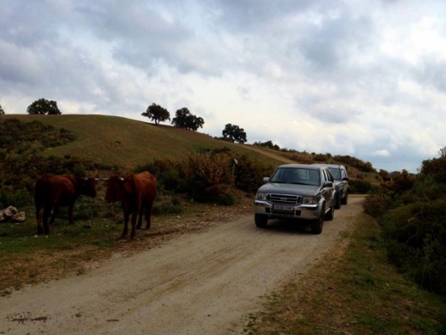  No 4x4 